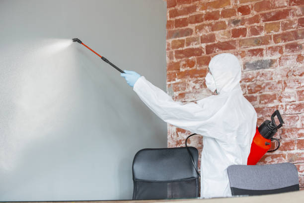 Best Biohazard Mold Removal  in Cannon Beach, OR