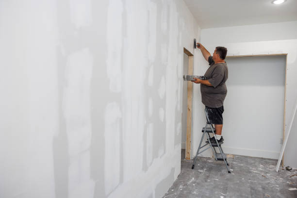 Best Emergency Mold Remediation  in Cannon Beach, OR