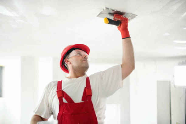 Best Asbestos and Lead Testing During Mold Inspection  in Cannon Beach, OR
