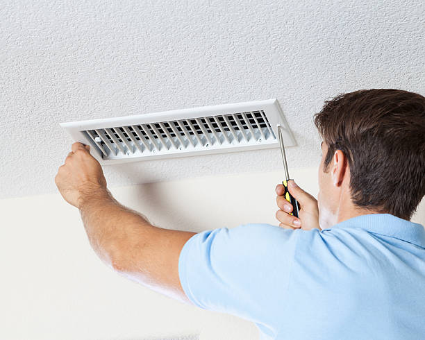 Best Basement Mold Removal  in Cannon Beach, OR