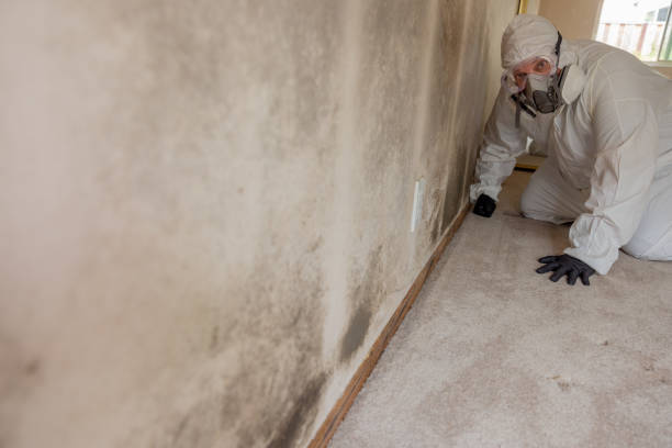 Best Dehumidification Services  in Cannon Beach, OR