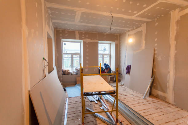 Best Mold Damage Restoration  in Cannon Beach, OR